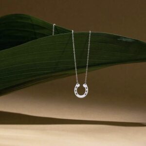 Lucky Horseshoe Tarnish-Proof Pendant Necklace